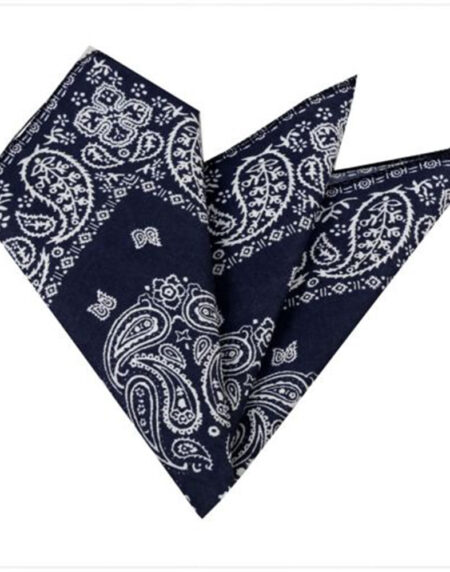 Men's Navy Blue White Paisley Pocket Square Hanky Handkerchief - Amedeo Exclusive