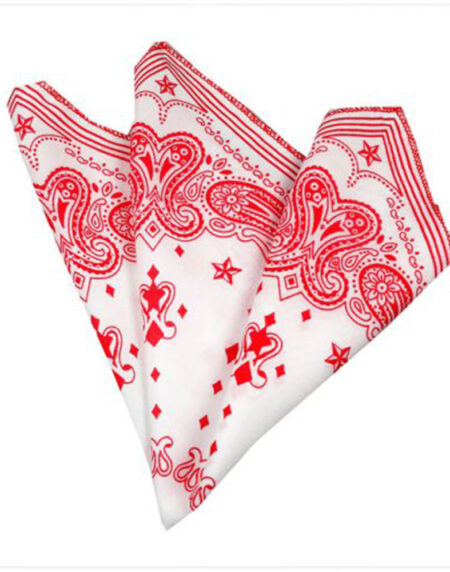 Men's Pink White Paisley Pocket Square Hanky Handkerchief - Amedeo Exclusive