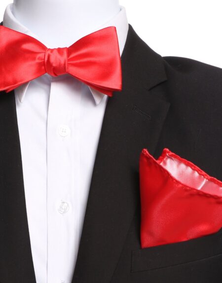 Men's Black And Silver Plaid Soft Silk Self Bow Tie - Amedeo Exclusive