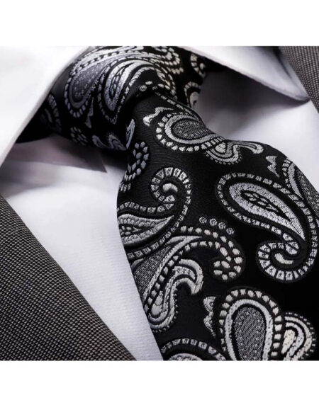 Men's jacquard Black Silver Paisley Premium Neck Tie With Gift Box - Amedeo Exclusive