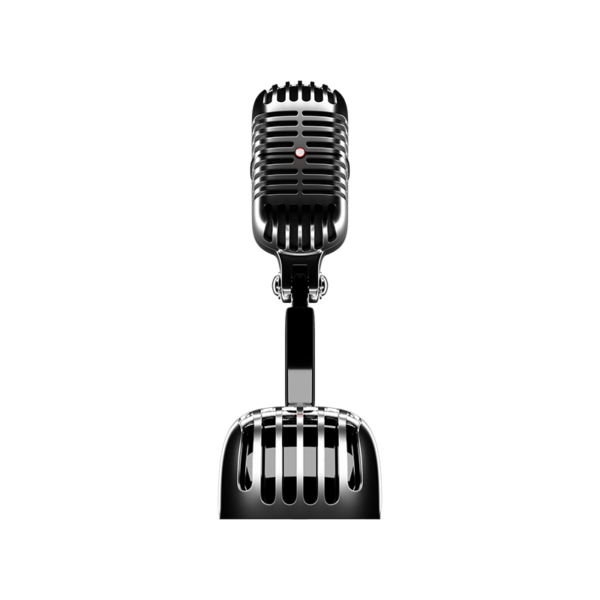 Recording Mic